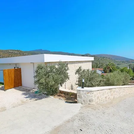 Golden Villa
